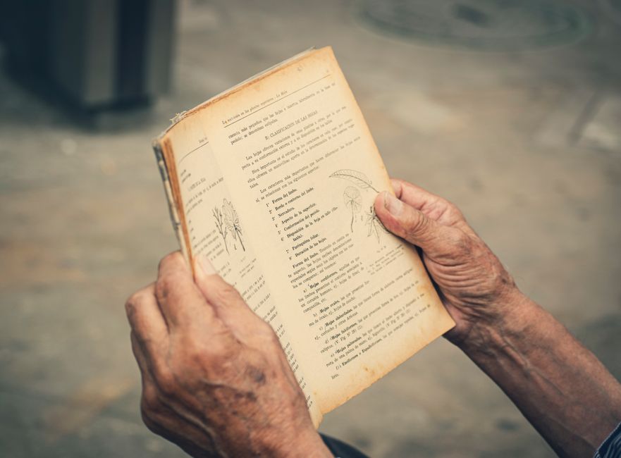A close-up of elderly hands holding and reading a vintage book outdoors.