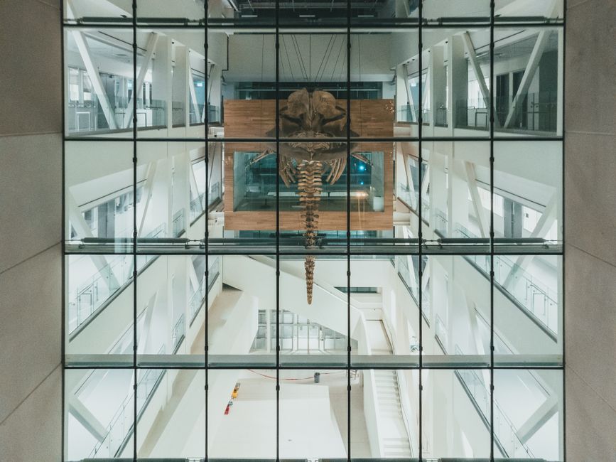 Intricate view of a modern atrium interior showcasing a suspended whale skeleton.